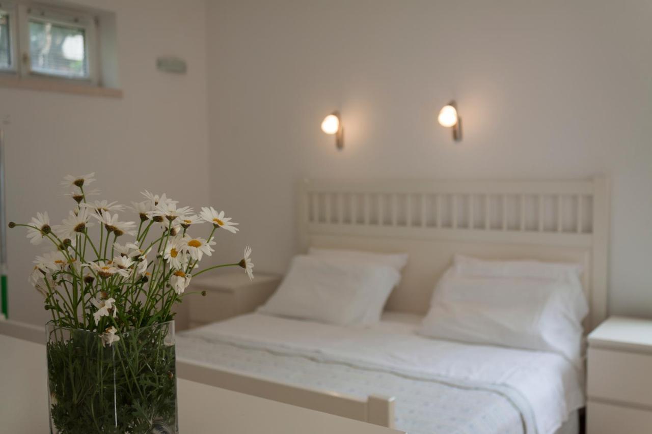 Suncana 2 Apartma Dubrovnik